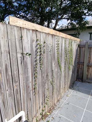 extend timber fence height